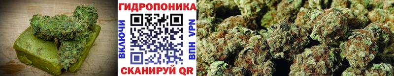 Печенье с ТГК марихуана  darknet формула  Медногорск  что такое наркотик 