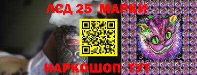 тгк Кимры